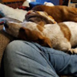 Meet your Posher, Kerri